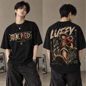 one piece luffy 2